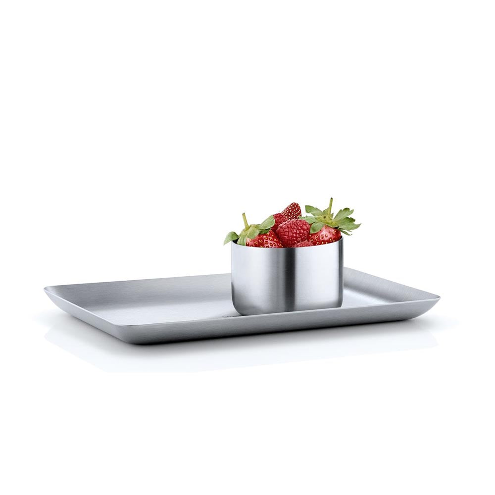 Blomus BASIC Matt Stainless Steel Tray - 13 x 22cm